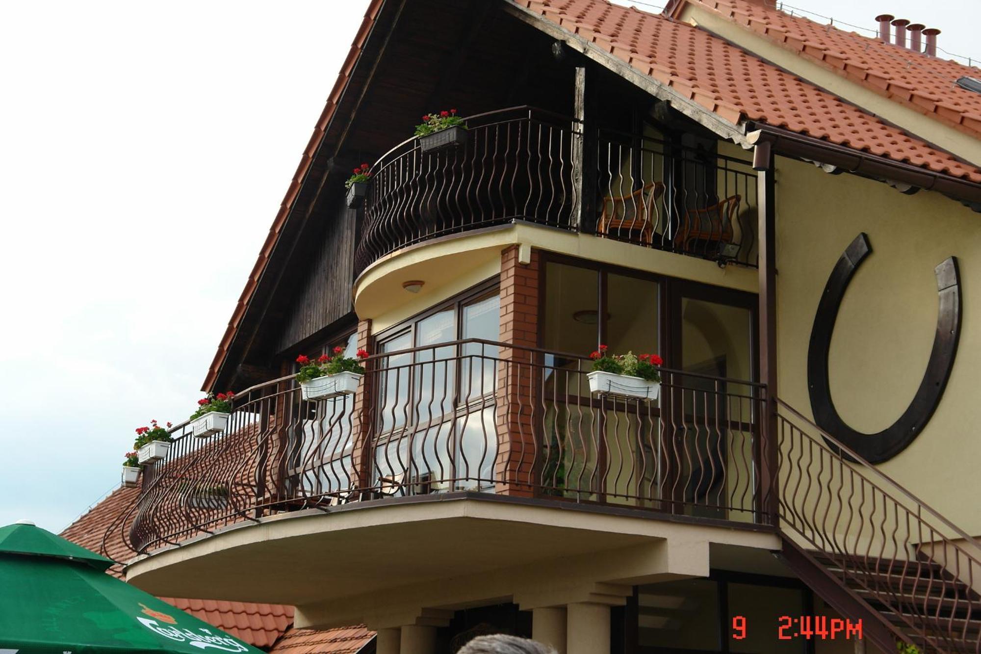 Podkowa Modliszow Villa Ngoại thất bức ảnh